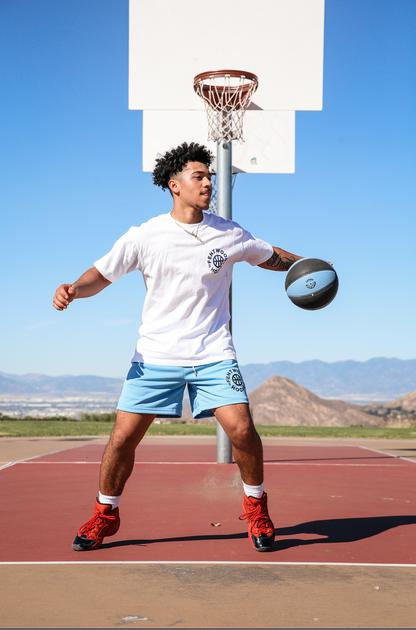 Blue/Black Multi-Color StreetBall